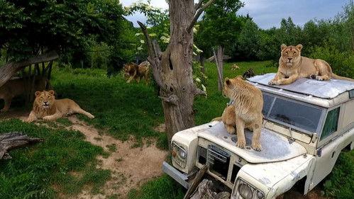 Zone interdite Season 31 Episode 18 - Episode 18