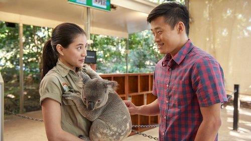 The Family Law Season 1 Episode 3 - Asians Gone Wild