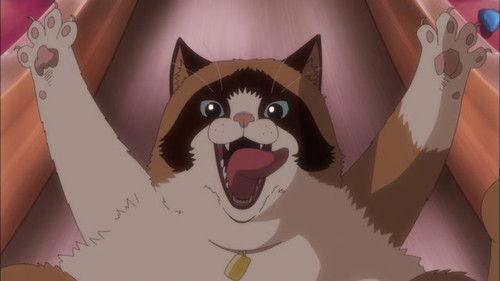 Case File N° 221: Kabukicho Season 1 Episode 12 - No More Nyan-Nyan