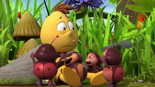 Maya the Bee Season 1 Episode 25 - Mother Courage