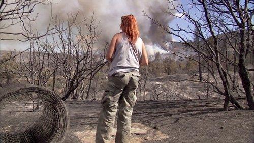 Pit Bulls and Parolees Season 2 Episode 10 - Trial by Fire