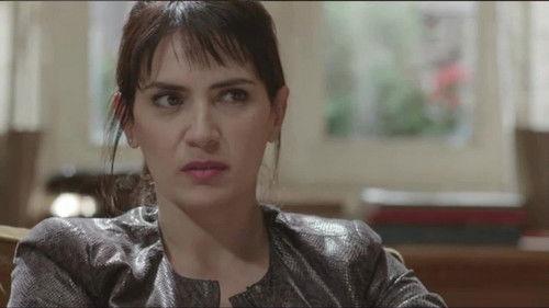 In Treatment Season 2 Episode 16 - Episode 16