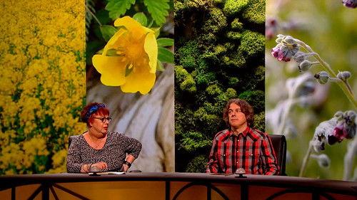 QI Season 14 Episode 16 - New