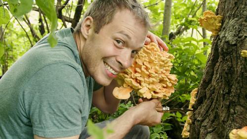 Field, Forest, Feast Season 1 Episode 2 - Summer Solstice