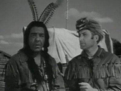 Background image for Stubborn Pioneer