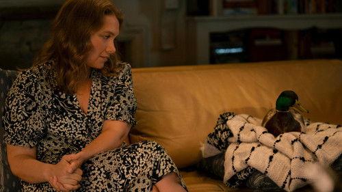 undefined Season 1 Episode 5 - The Woman Who Was Fed By a Duck