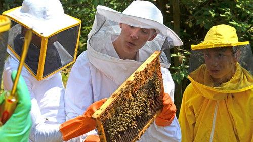 Die Jungs-WG Season 4 Episode 4 - Episode 4