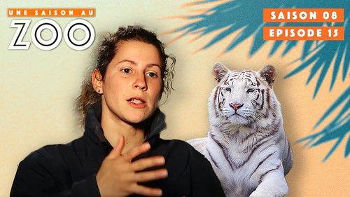Une saison au zoo Season 8 Episode 15 - Episode 15