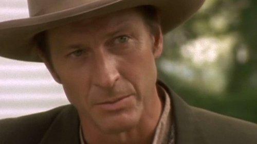 Background image for The Search Party