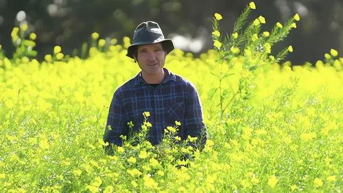 Gardening Australia Season 32 Episode 14 - Episode 14 Raised Beds, Highland Oasis & Flowers 101