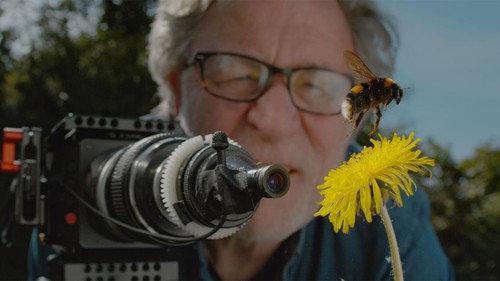 Nature Season 40 Episode 1 - My Garden of a Thousand Bees