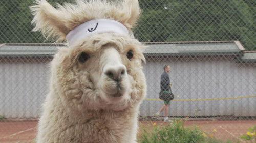 I kveld med Ylvis Season 2 Episode 7 - John Brungot and Sirkus Eliassen