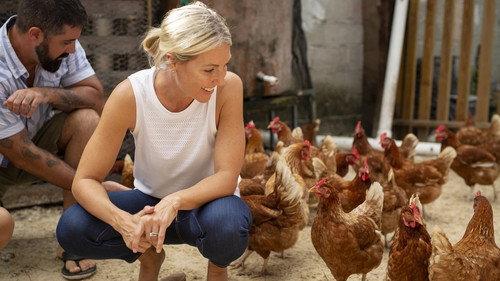 Island of Bryan Season 1 Episode 9 - Setting the Bar