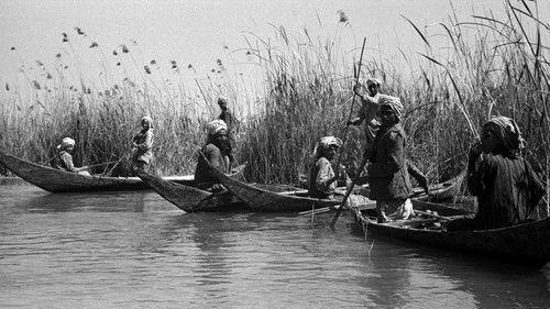 Nature Season 29 Episode 4 - Braving Iraq