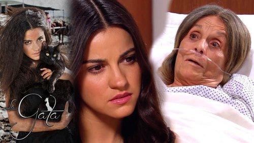 The Stray Cat Season 1 Episode 20 - Episode 20