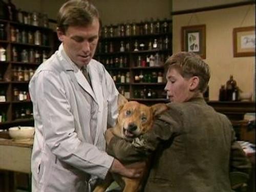 All Creatures Great and Small Season 3 Episode 5 - If Wishes Were Horses