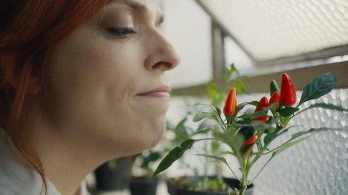 Nobody's Looking Season 1 Episode 3 - Life isn't random by chance