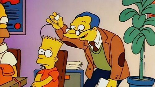 The Simpsons Season 1 Episode 2 - Bart the Genius