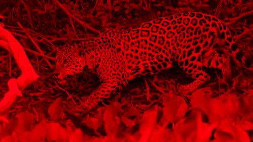 The investigation was conducted Season 14 Episode 7 - Episode 7