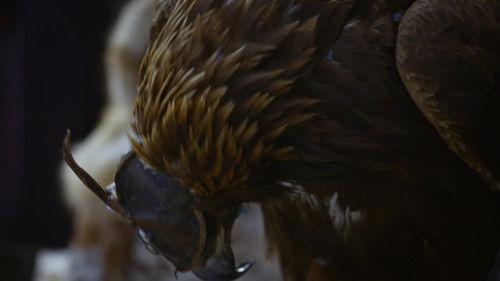 Todd Sampson's Body Hack Season 2 Episode 6 - American Firefighters