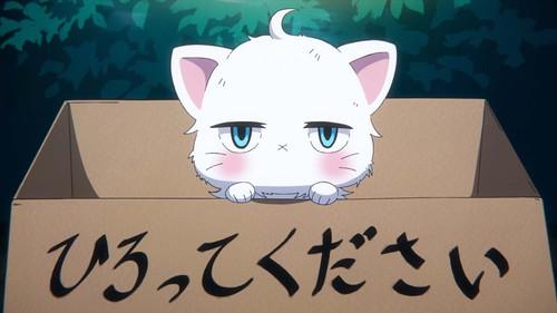 undefined Season 1 Episode 3 - Paws, Paws, Paws…