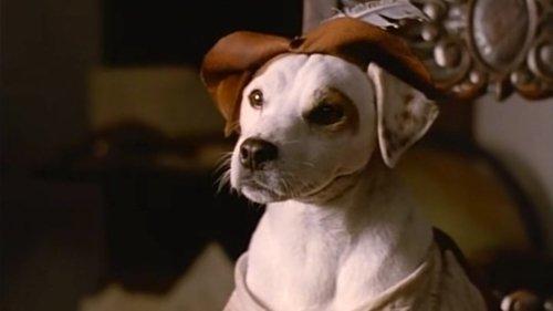 Wishbone Season 1 Episode 11 - The Impawssible Dream