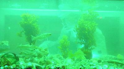 Hellfjord Season 1 Episode 6 - Episode 6