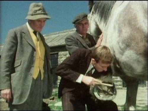 All Creatures Great and Small Season 1 Episode 1 - Horse Sense