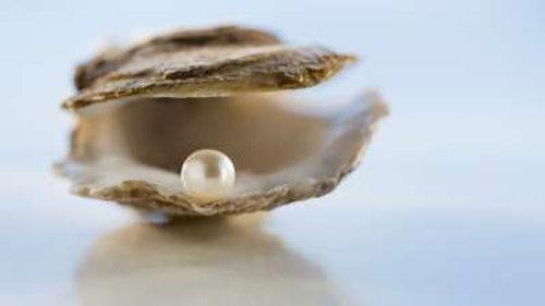 How Do They Do It? Season 15 Episode 17 - Freshwater Pearls, Knives, Hippo Roller