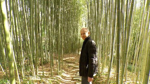 Japanology Plus Season 8 Episode 25 - Bamboo