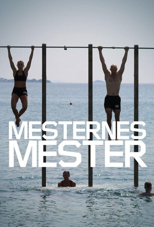 Mesternes mester poster