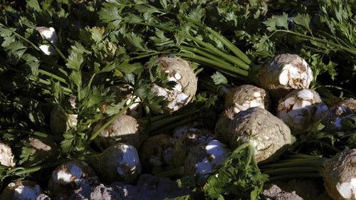 Food Markets: In the Belly of the City Season 1 Episode 3 - Vienna - Naschmarkt
