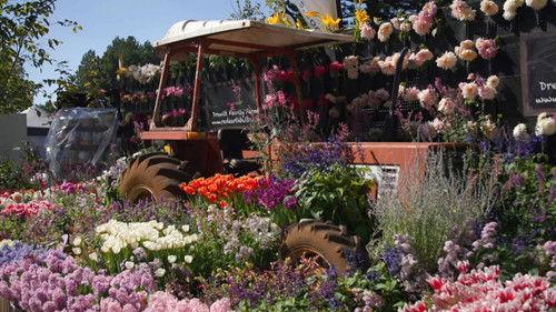 Gardening Australia Season 35 Episode 19 - Episode 19 Winter: Designer gardens & strawberry baskets