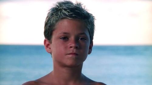 undefined Season 10 Episode 4 - Shark Island