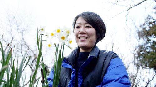 Through the Kitchen Window Season 1 Episode 4 - Sayaka Mori: Seaweed Maki Roll