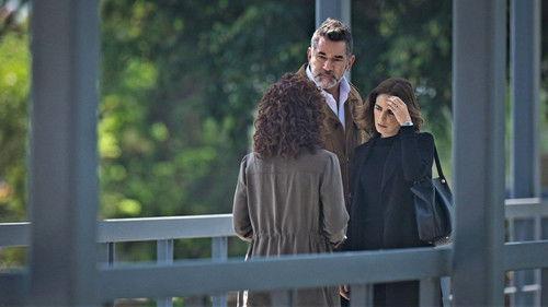 Buscando a Frida Season 1 Episode 14 - Episode 14