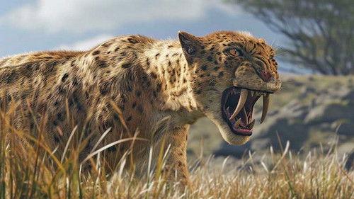 Science grand format Season 8 Episode 12 - Episode 12