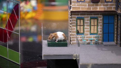 Human vs Hamster Season 1 Episode 7 - Flight Attendants and Tooth Fairies