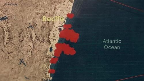 When Sharks Attack Season 5 Episode 4 - Bedlam In Brazil