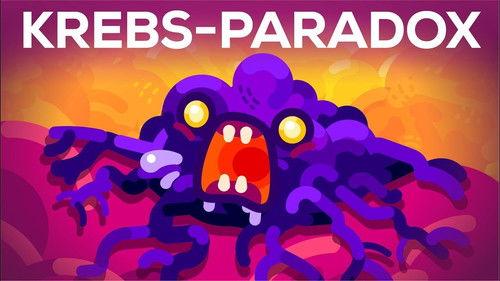 Kurzgesagt - In a Nutshell Season 8 Episode 3 - Why Blue Whales Don't Get Cancer - Peto's Paradox