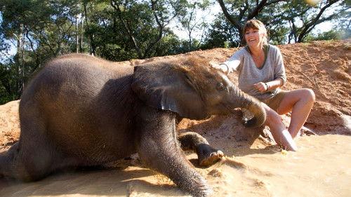 Nature's Miracle Orphans Season 2 Episode 1 - Moyo & Robin