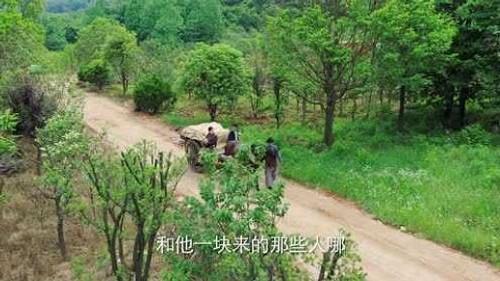 Wild Rose Season 1 Episode 22 - Episode 22