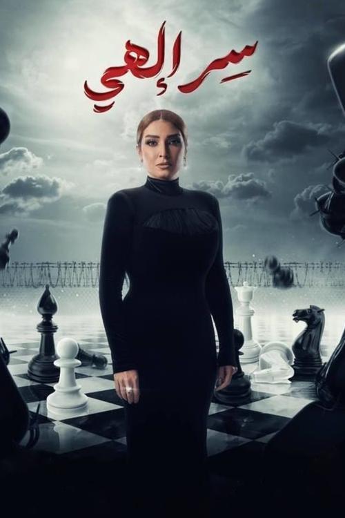 Divine Secret poster