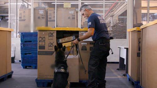 Airport Brazil: Restricted Areas Season 6 Episode 5 - Sharp Snout