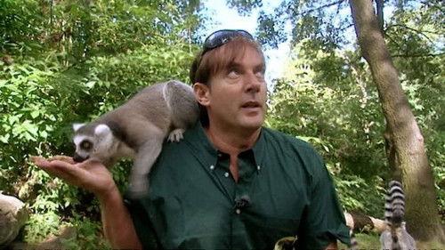 Joling & Gordon Over De Vloer Season 1 Episode 7 - Episode 7