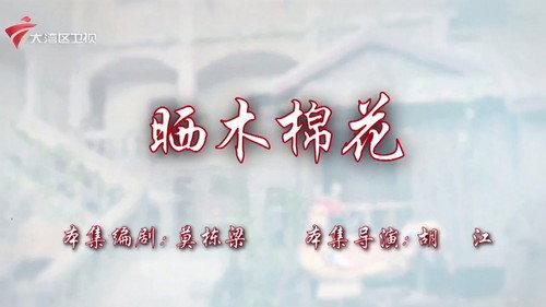 House of 72 Tenants Season 19 Episode 21 - Episode 21