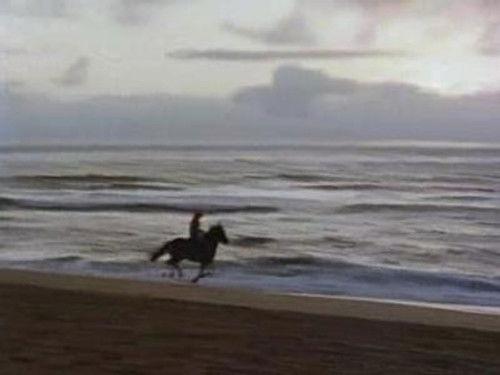 Skippy the Bush Kangaroo Season 1 Episode 37 - Be Our Guest