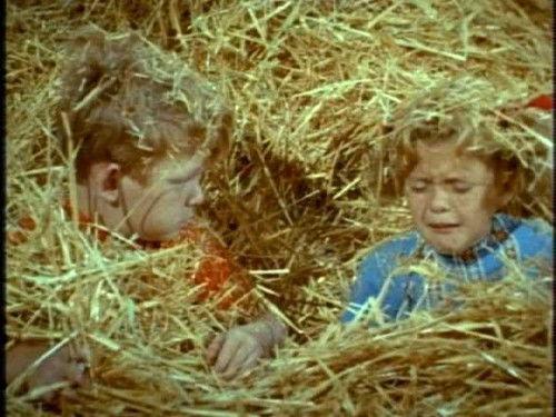 Family Affair Season 3 Episode 21 - Lost in Spain: Part 3