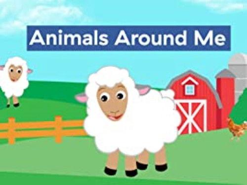 Baby Einstein Classics Season 1 Episode 1 - Animals Around Me