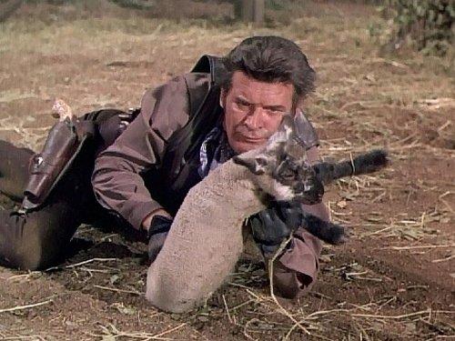 The Big Valley Season 3 Episode 3 - A Flock of Trouble